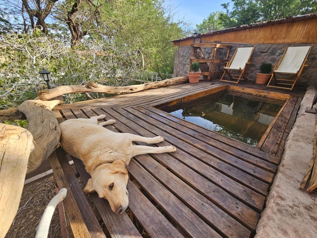 Anka Lodge Quitor San Pedro De Atacama Extérieur photo