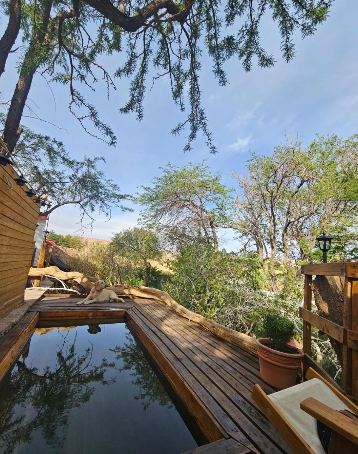 Anka Lodge Quitor San Pedro De Atacama Extérieur photo