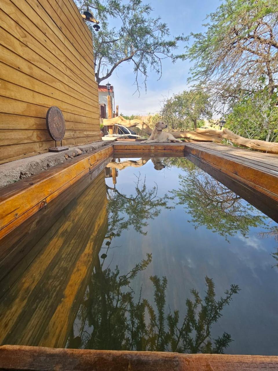 Anka Lodge Quitor San Pedro De Atacama Extérieur photo